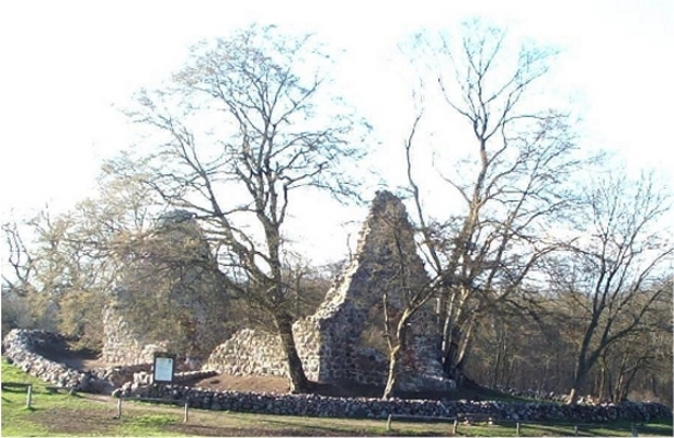 Kirchruine-Domherrenhagen